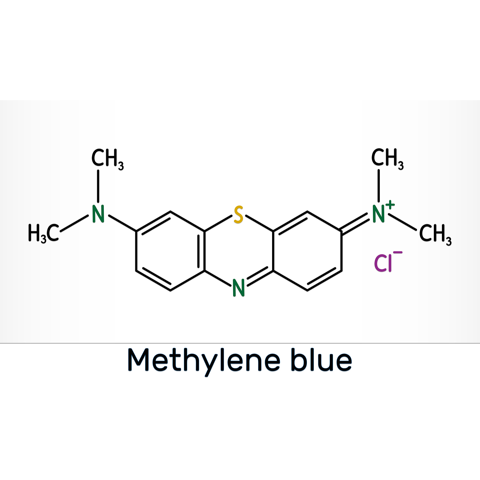 Shwally Methylene Blue Serum & Tallow Balm 2-Step Bundle