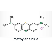 Shwally Methylene Blue Serum & Tallow Balm 2-Step Bundle