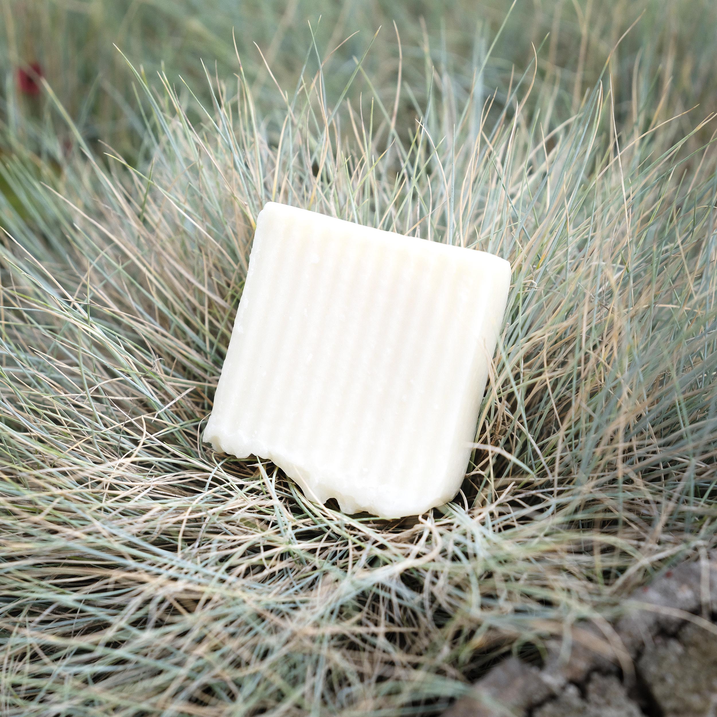 soap.jpg