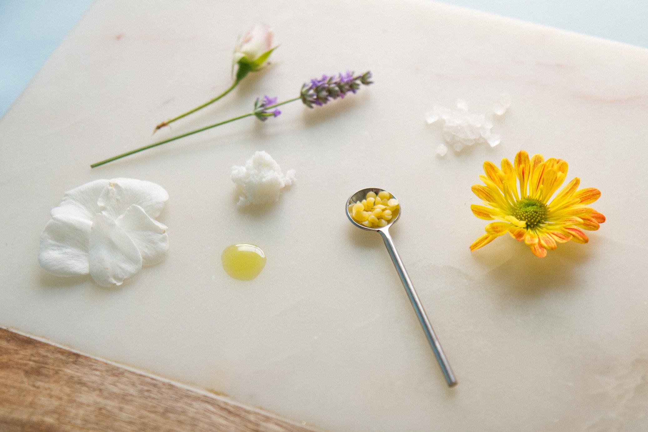 Shwally Tallow & Calendula Face & Body Balm