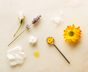 Shwally Zinc, Calendula & Chamomile Baby Booty Cream 2OZ